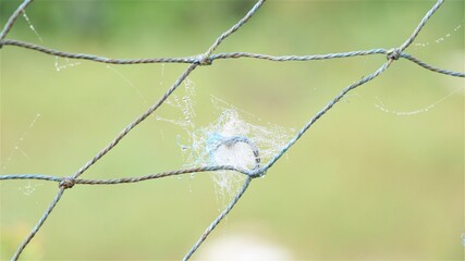 Spider web on nylon net in mist