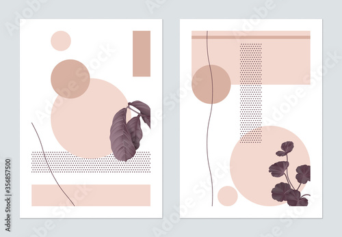 Minimalist botanical poster template design, plants and symmetry shapes, brow...