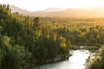 Wall Mural - The sun setting over a river in a  green, mountain wilderness. Jamtland, Sweden.