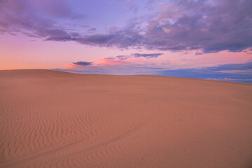 Wall Mural - Beautiful light over the sand dunes of Myall Lakes National Park.East Coast of N.S.W. Australia