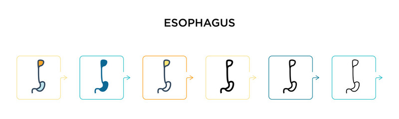 Esophagus vector icon in 6 different modern styles. Black, two colored esophagus icons designed in filled, outline, line and stroke style. Vector illustration can be used for web, mobile, ui