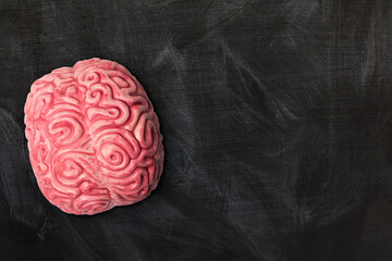 Wall Mural - human brain on a blackboard background with copy space