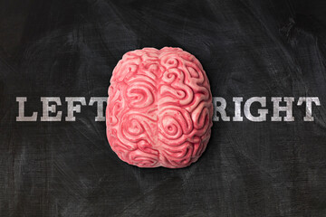 Wall Mural - human brain with left right message on a blackboard