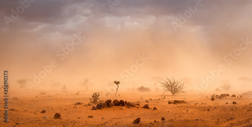 Fotografía Climate change in Africa concept: Yellow orange dusty sandstorm with rocks, sand, bushes and dark clouds