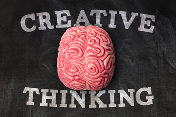 Wall Mural - human brain with creative thinking message on a blackboard