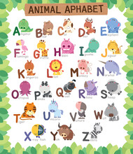 Vector Illustration Of Animals Alphabet For Kids Education