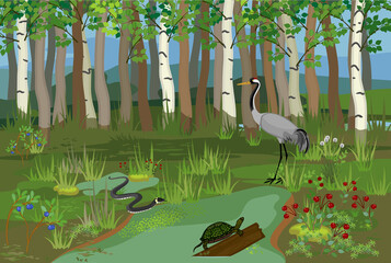 Wall Mural - Ecosystem of swamp. Different swamp inhabitants: animals and plants