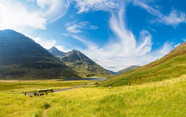 Wall Mural - Summer in Scotland highlands, United Kingdom