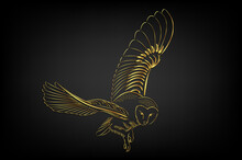 Barn Owl Flying Over Black Background