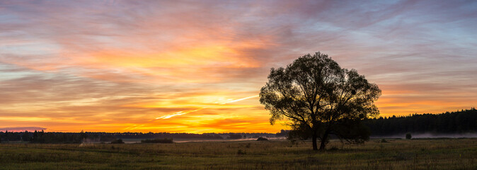 Canvas Print - Sunrise over field and tree