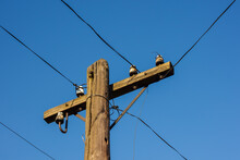 Old Wooden Telephone Pole On A Background Of Blue Sky. The Small Depth Of Field