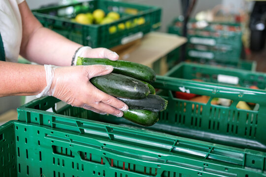 lebensmittelspende tafel: frau mit handschuhen packt obst und gemüse, hier frische zucchini, in grün