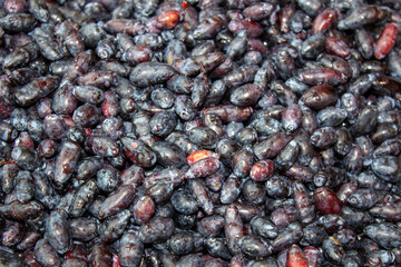 Poster - The first ripe berries of honeysuckle. A lot of berries in the background. close up.