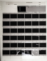 Wall Mural - Seven long and blank 35mm filmstrips on white plastic light board behind protection foil.