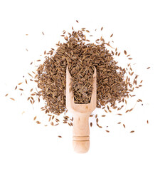 Wall Mural - Pile of Caraway Seeds Isolated on White Background