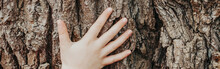 Closeup Of Child Hand Touching Old Tree. World Earth Day. Save The Planet Nature Environment Concept. Connection With Mother Nature. Banner Header For A Website.