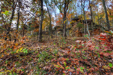 Rocky Forested Hillside In Autumn
