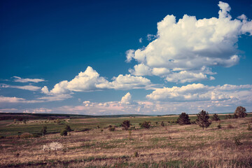 Wall Mural - panoramic landscape of central russia agricultural countryside with hills and country road. summer l