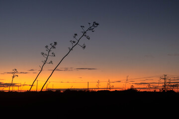 Dawn at Yucatan 