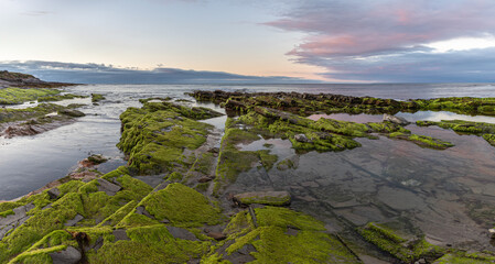 Wall Mural - The beauty of the beaches of northern Spain with the moss on its rocks!