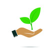 © Kravchuk - Seedling and hand with ecologically growing leaves icon. Vector illustration eps 10