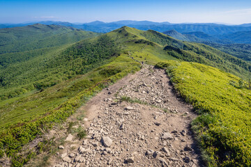 Wall Mural - Hiking on a Halicz mountain top in Bieszczady mountain range in Poland