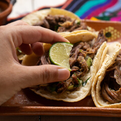 Mexican slow cooked lamb tacos also called barbacoa on white background