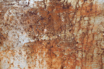 Wall Mural - rusty painted metal texture. old shabby rusty metal background