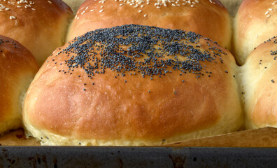 Wall Mural - hot homemade buns with sesame and poppy seeds