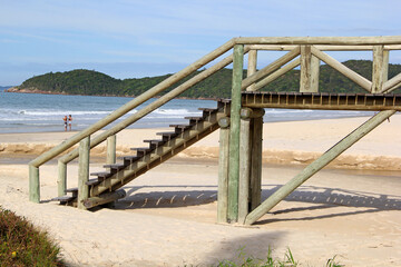 Poster - wooden ladder
