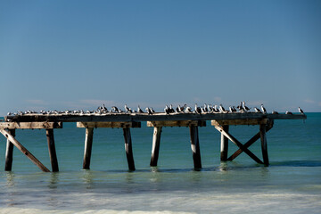 The ruins of the pier at the old Telegraph Station, Eucla, Western Australia