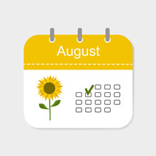 Calendar Icon August With Pattern Isolated On White Background