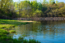 Salem Hills Pond And Woodlands In Spring