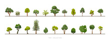 Collection Of Various Green Tree Vector Icon Set On White Background
