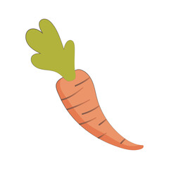 Canvas Print - carrot vegetable fresh nutrition healthy food isolated icon design