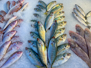 Wall Mural - Frozen fish for sale at the seafood supermarket