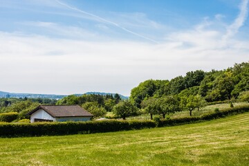 Sticker - Flat field of lush green trees and some white houses with brown roofs