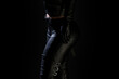 © PixlMakr - Sexy Female Assassin