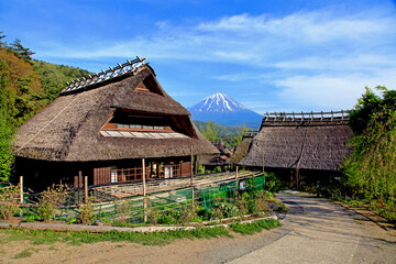 Wall Mural - Traditional buildings in the samurai village of Saiko Iyashi no Sato Nemba in Japan with Mount Fuji in the background.