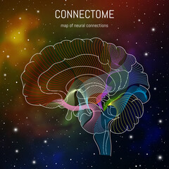 Wall Mural - Neuroscience infographic on space background. Brain cells connectome concept.Neural network, neurons forming a complex map for mind and thinking