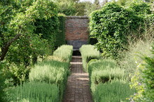 Garden Path Lined By Plants Leading To A Wooden Bench