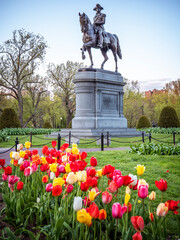 Wall Mural - Boston Public Garden