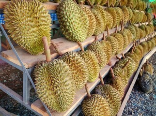 Wall Mural - 	
Group of fresh durians in the durian market.	
