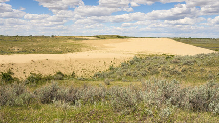 Wall Mural - Landscape of the Great Sandhills near the town of Leader, Saskatchewan, Canada