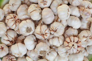 close up of garlic on market