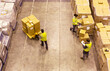 © Paul Bradbury/KOTO - Workers carting boxes in warehouse