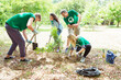 © Robert Daly/KOTO - Environmentalist volunteers planting new tree