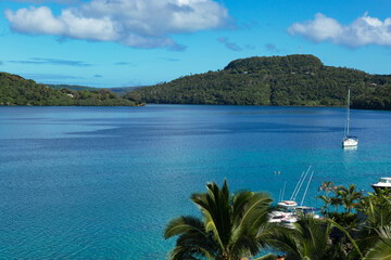 Wall Mural - Tropical island harbour with palm trees in Tonga