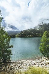 Sticker - Vertical shot of the lake surrounded by trees over the mountains