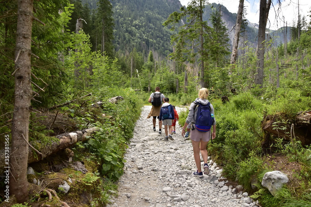 Turyści na szlakach w Tatrach, wakacje w górach - obrazy, fototapety, plakaty 